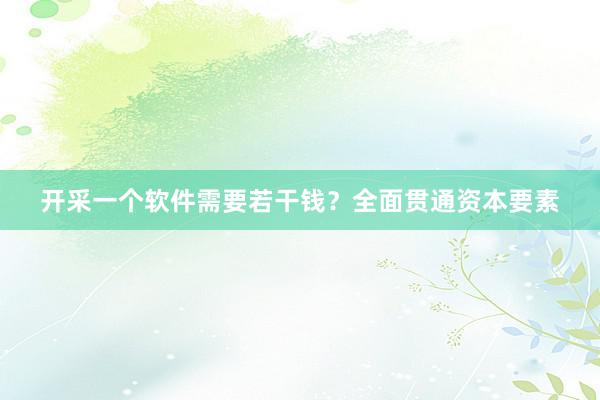 开采一个软件需要若干钱？全面贯通资本要素